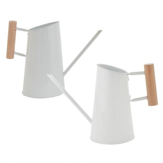 Watering Can